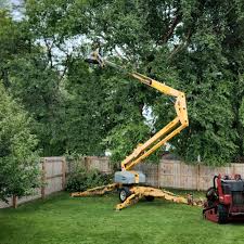 Best Emergency Tree Removal  in Richwood, TX