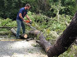 Best Utility Line Clearance  in Richwood, TX